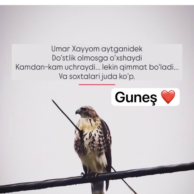 Хуршида Тулаганова